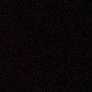 Meet your Posher, Trina